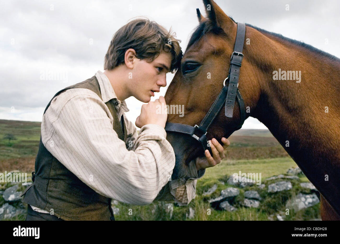 WAR HORSE 2011 DreamWorks film réalisé par Steven Spielberg avec Jeremy Irvine. Photo Andrew Cooper Banque D'Images