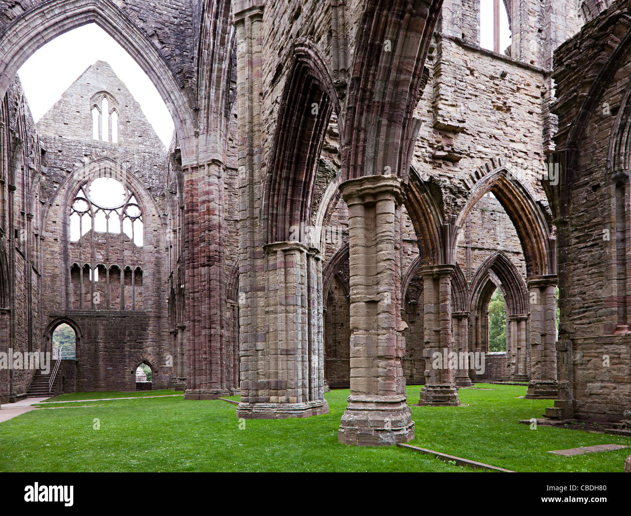 Ruine de l'abbaye de Tintern Wales UK Banque D'Images