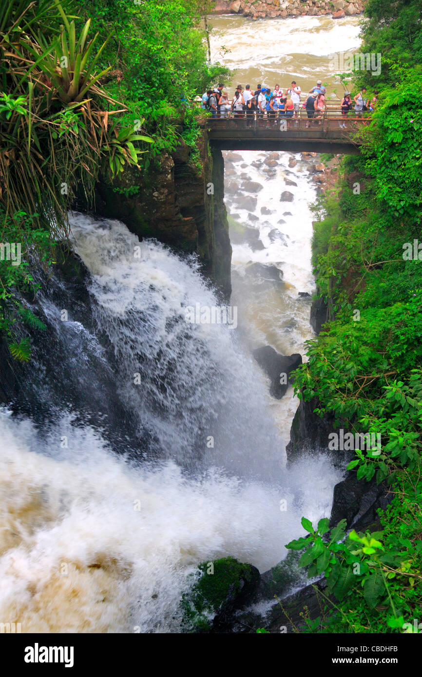 D'Iguazu, le long de la rivière Iguaçu. Placé dans la frontière de l'Argentine, et au Brésil. Banque D'Images