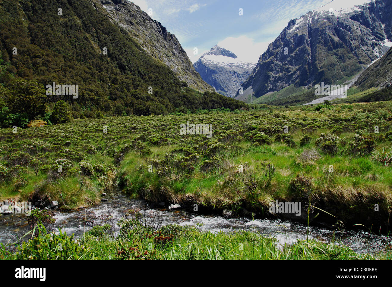 Le Parc National de Fiordland, Nouvelle-Zélande, Banque D'Images