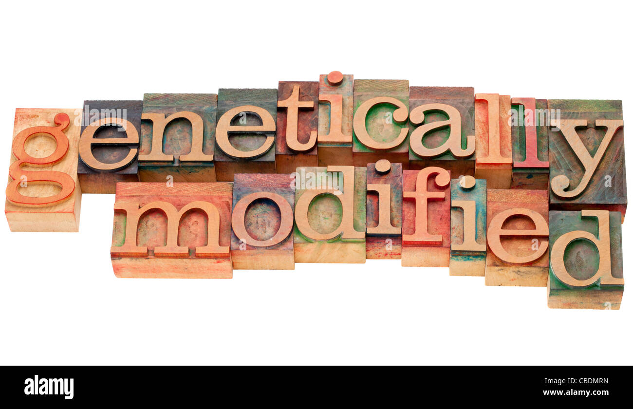 Organismes génétiquement modifiés - texte isolé en bois vintage type letterpress Banque D'Images