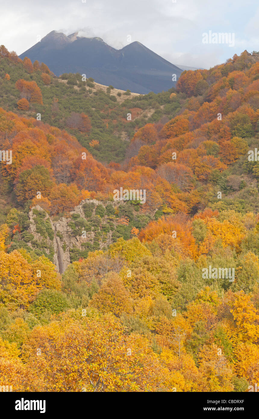Atmosphère d'automne près de l'Etna, en Sicile, Italie Banque D'Images