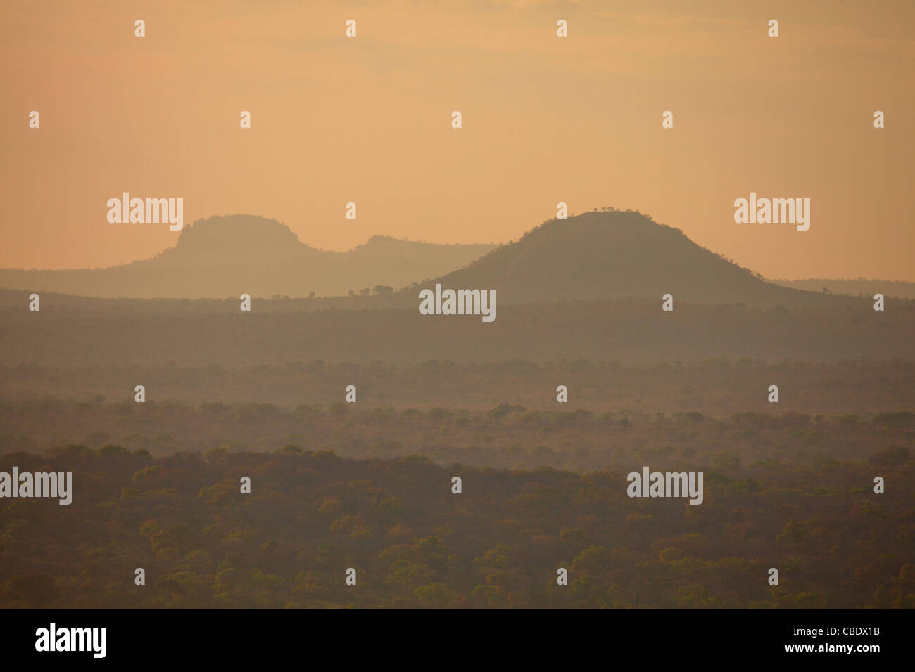 Vue depuis la colline dans Shabeni Pretoriuskop dans le Parc National Kruger, Afrique du Sud Banque D'Images