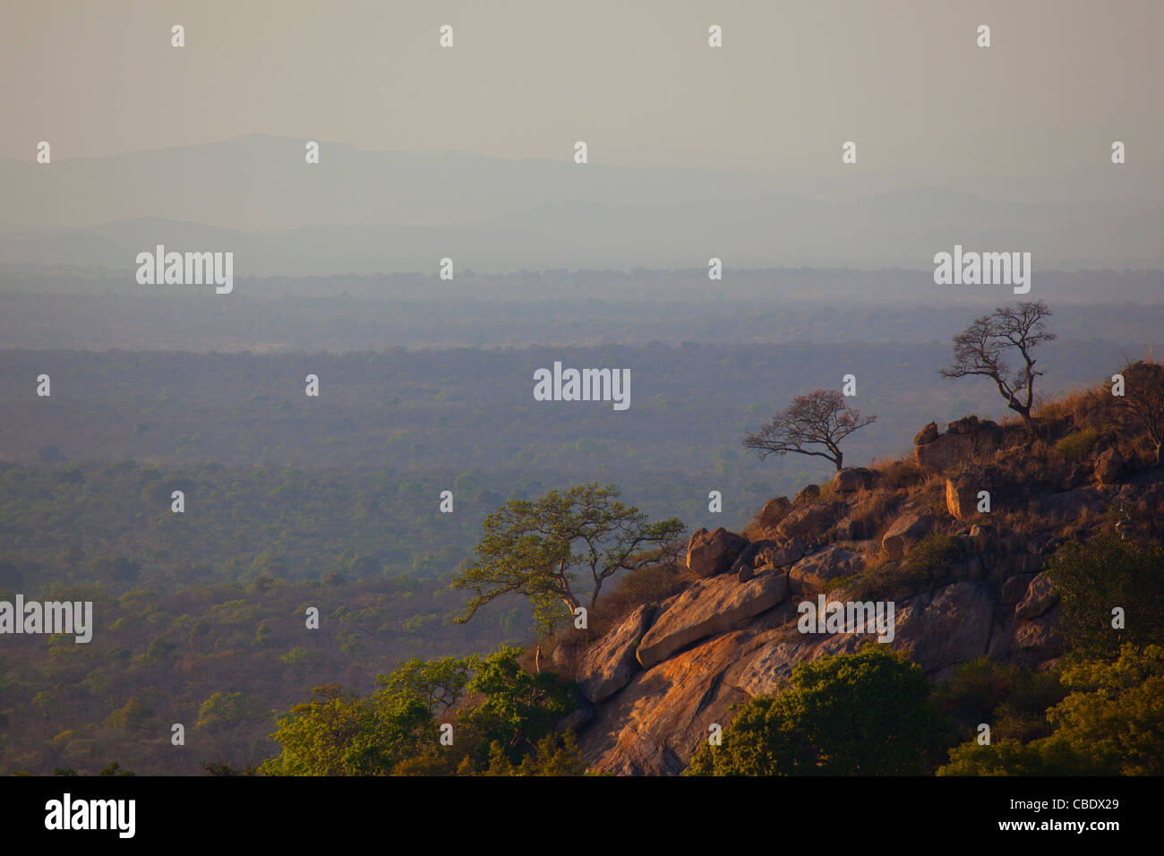 Vue depuis la colline dans Shabeni Pretoriuskop dans le Parc National Kruger, Afrique du Sud Banque D'Images