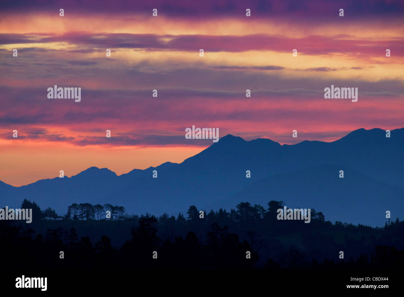 Coucher de soleil sur la forêt de Knysna Garden Route, dans l'Afrique du Sud Banque D'Images