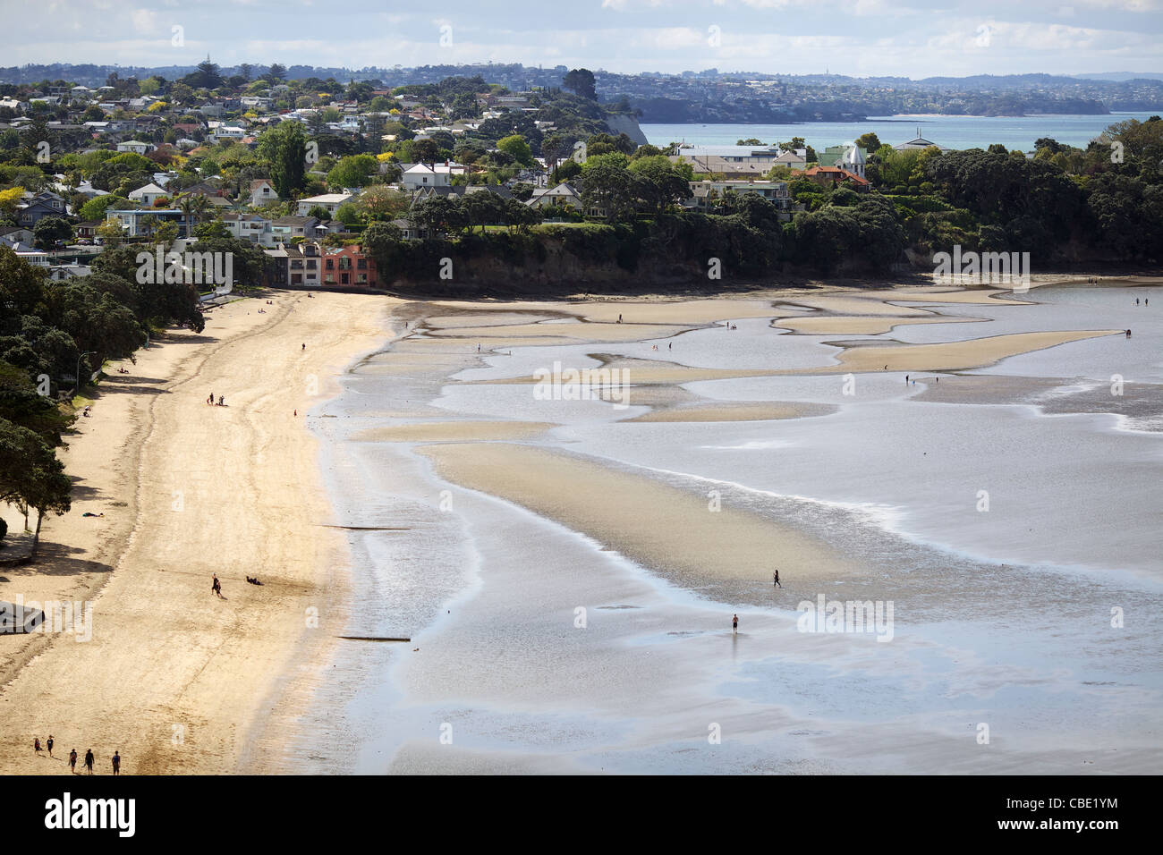 Cheltenham Beach vue depuis le belvédère au-dessus de la plage, Auckland, Nouvelle-Zélande Banque D'Images