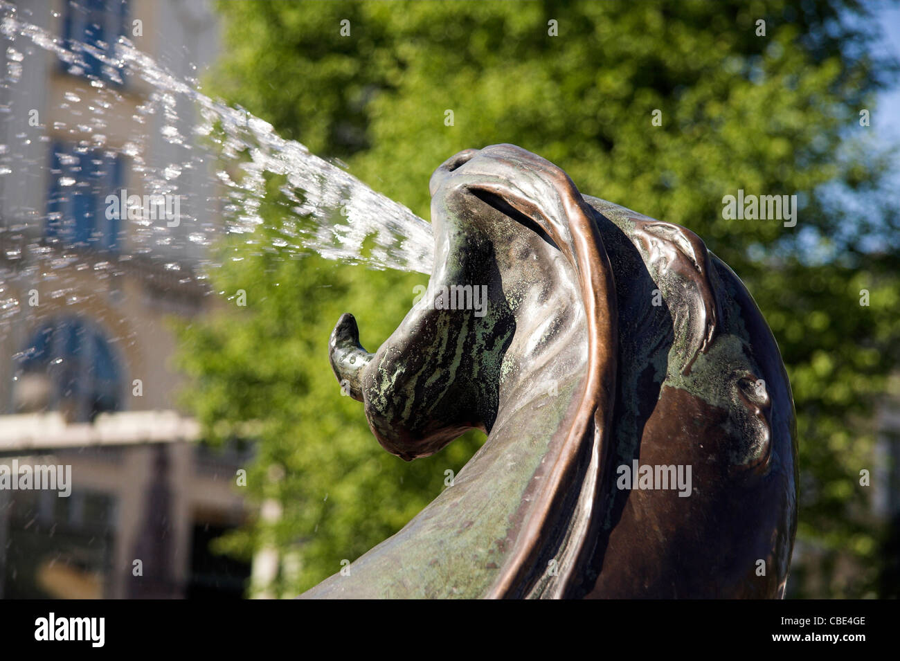 Sea Lion sculpture, fontaine Havis Amanda, Helsinki, Finlande Banque D'Images