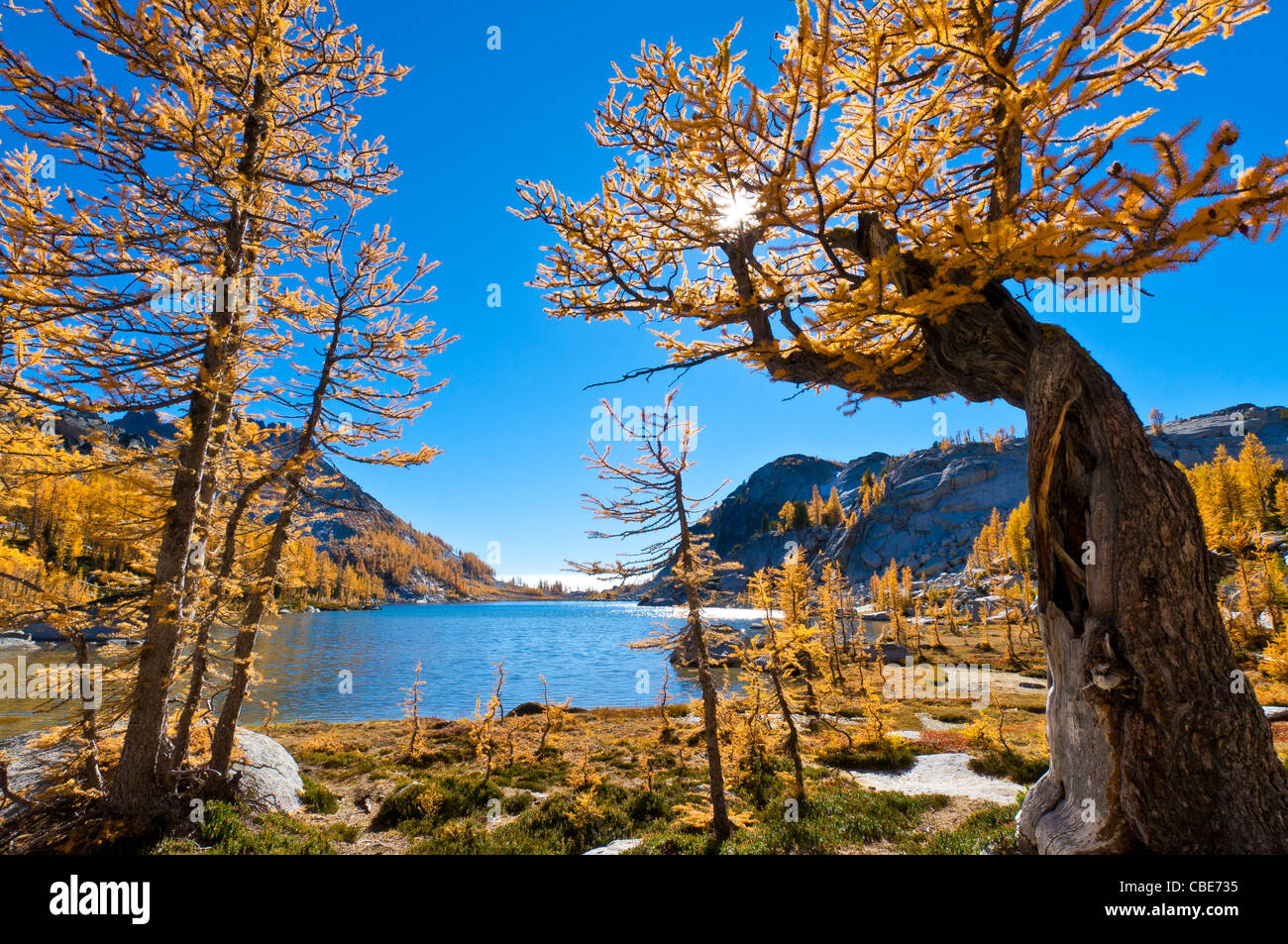 Le mélèze arbres et Lac La perfection dans les enchantements, les lacs alpins Désert, Washington. Banque D'Images