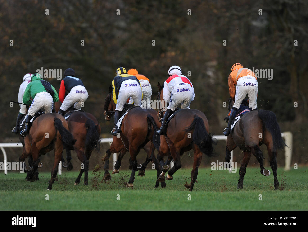 Chevaux et jockeys en action lors d'une course de chevaux Banque D'Images