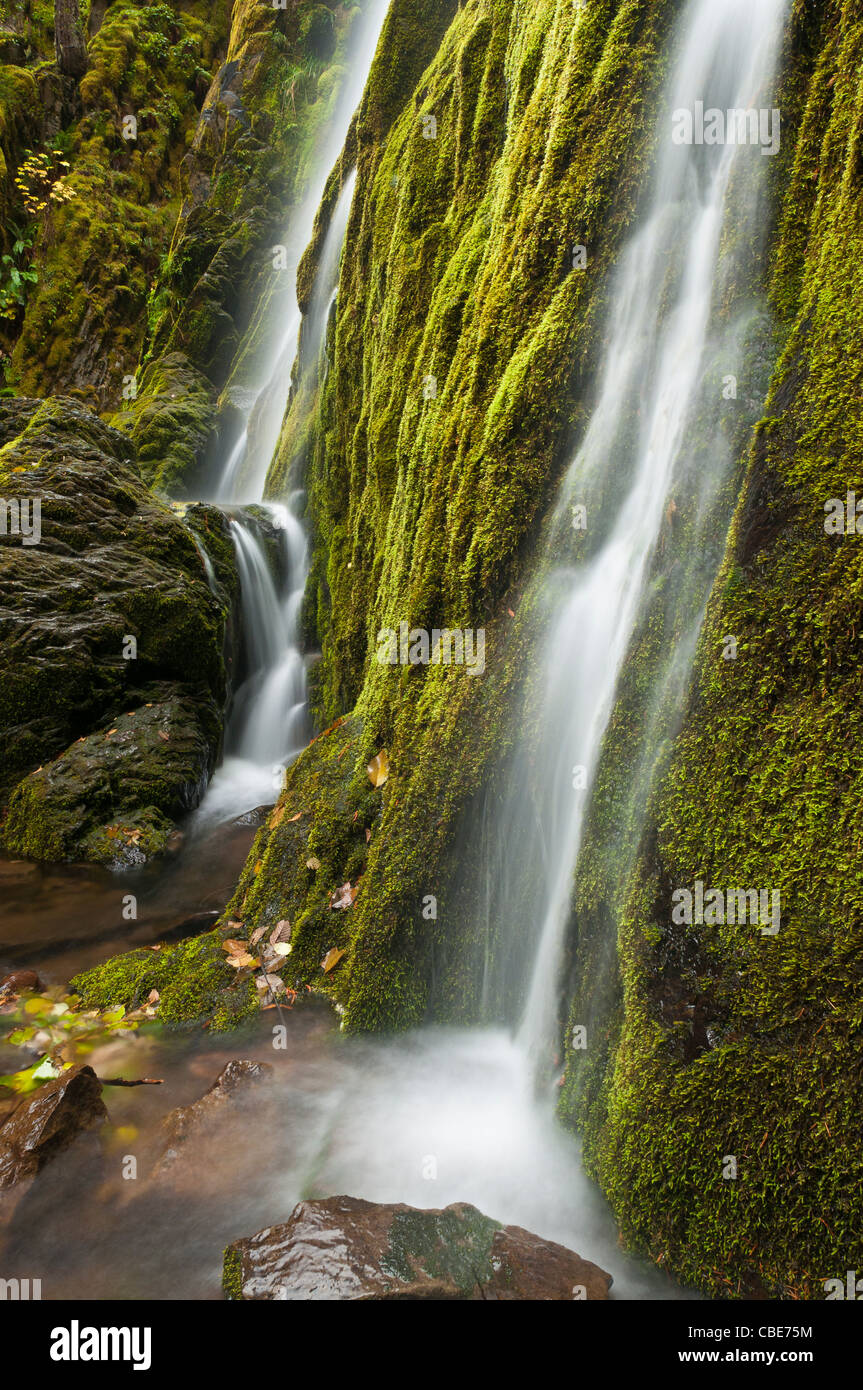 Lune Falls ; Umpqua National Forest, des cascades, de l'Oregon. Banque D'Images