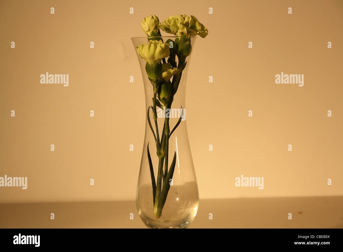 Fleurs dans un vase en verre Banque D'Images