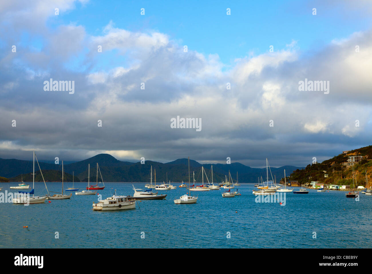 Bateaux amarrés dans le port de Picton Banque D'Images