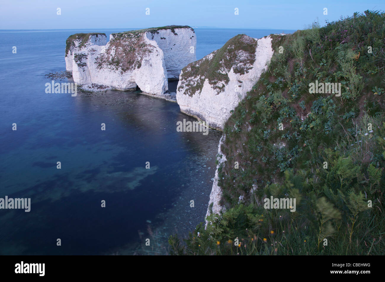 Old Harry Rocks. Piles de craie massive debout juste à côté de la de vertigineuses falaises de calcaire de la côte de Purbeck. Dorset, Angleterre, Royaume-Uni. Banque D'Images