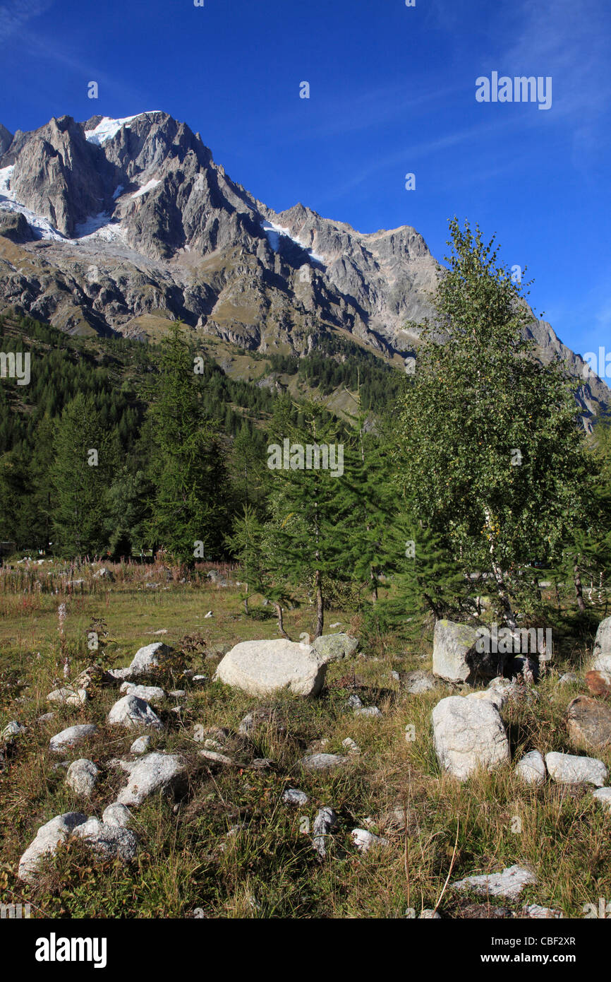 L'Italie, les Alpes, vallée d'Aoste, Val Ferret, Les Grandes Jorasses, Banque D'Images