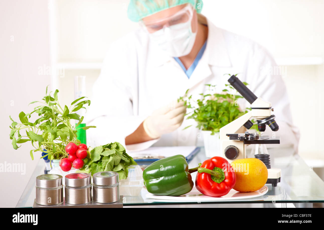 Un chercheur dans le laboratoire de légumes OGM Banque D'Images