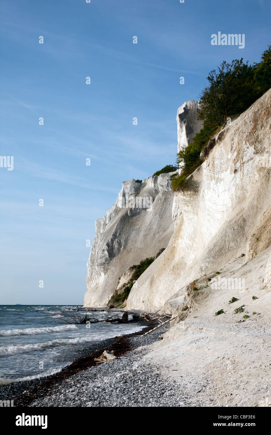 Møns Klint, les falaises de craie jusqu'à 120m au-dessus du niveau de la mer sur la côte de la mer Baltique orientale de l'île de Møn au sud-est de Sealand, Danemark, Møn ou Moen Banque D'Images