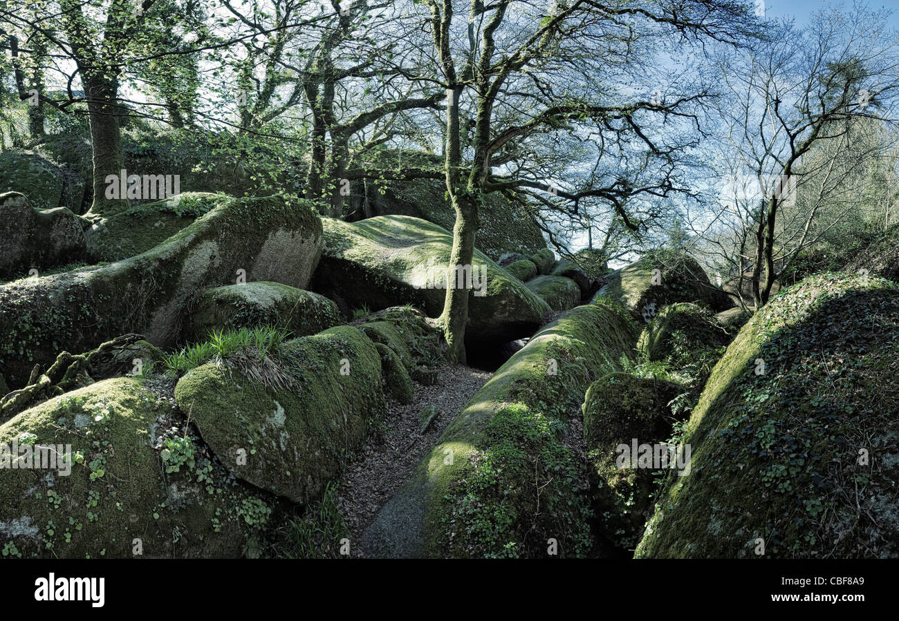 Rochers en forêt de Huelgoat, Bretagne, France Banque D'Images