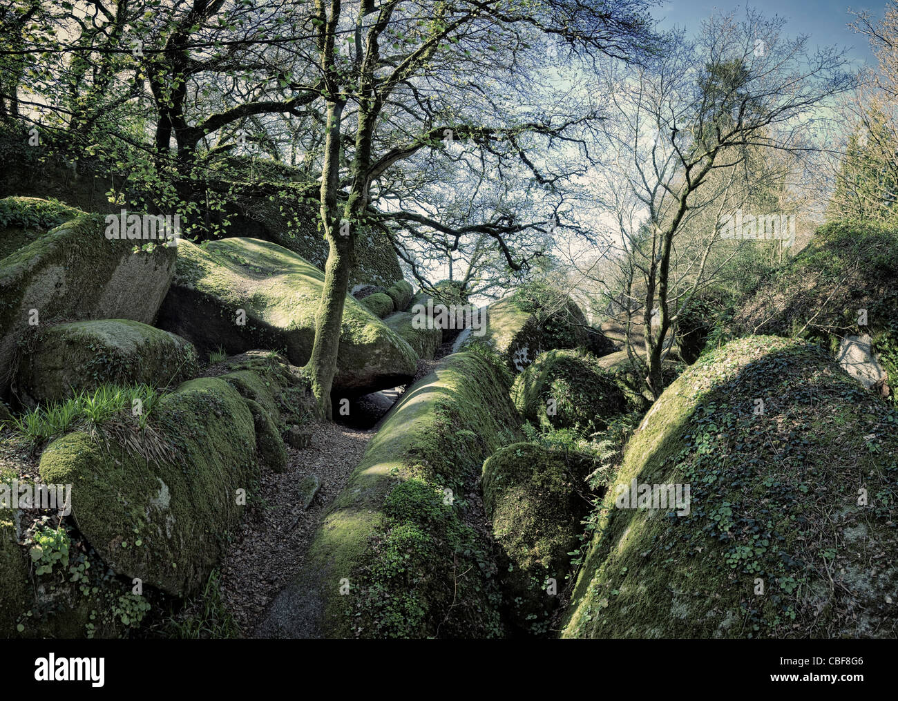 Rochers dans la forêt de Huelgoat, Bretagne, France Banque D'Images