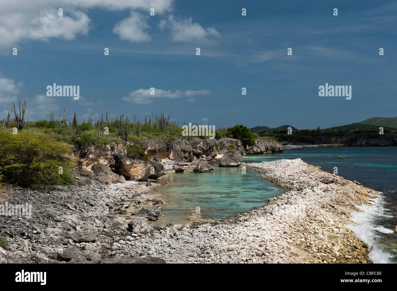 Paysage côtier, Slagbaai National Park, Bonaire, Antilles néerlandaises, Amérique Banque D'Images