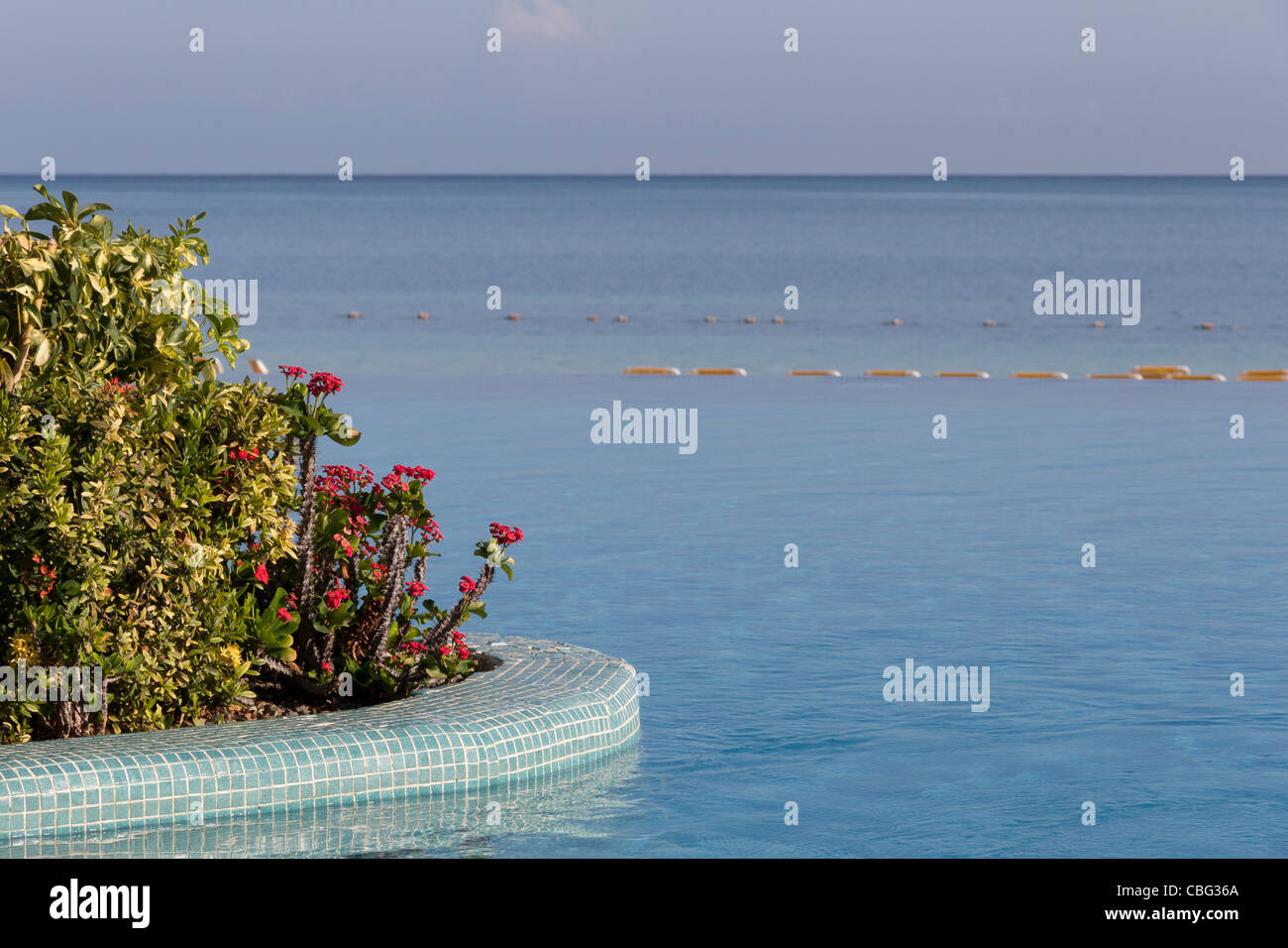 Piscine à débordement, un complexe touristique de luxe, Montego Bay, Jamaïque Banque D'Images