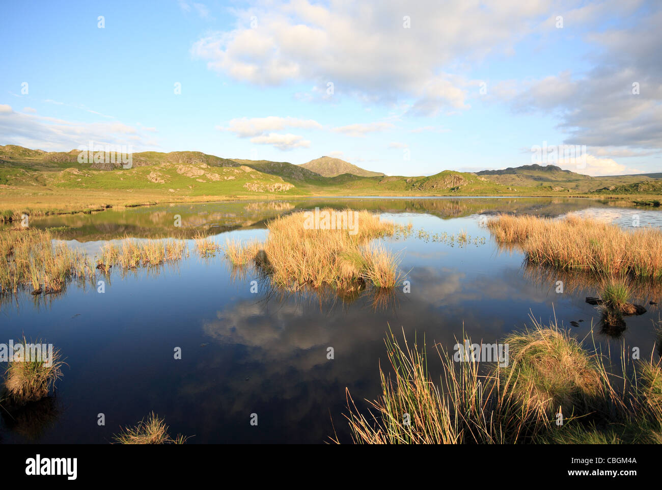 Lumière du soir sur l'anguille dans le Tarn au-dessus de Eskdale Lake District National Park - avec Harter a baissé dans la distance Banque D'Images