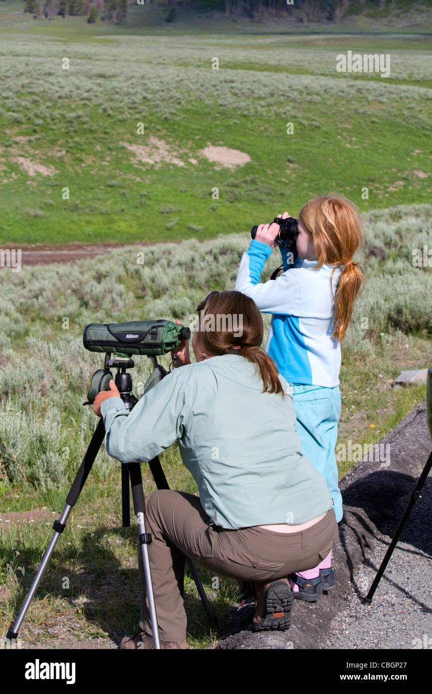 Mère et fille l'observation de la faune dans le Parc National de Yellowstone, aux États-Unis. M. Banque D'Images