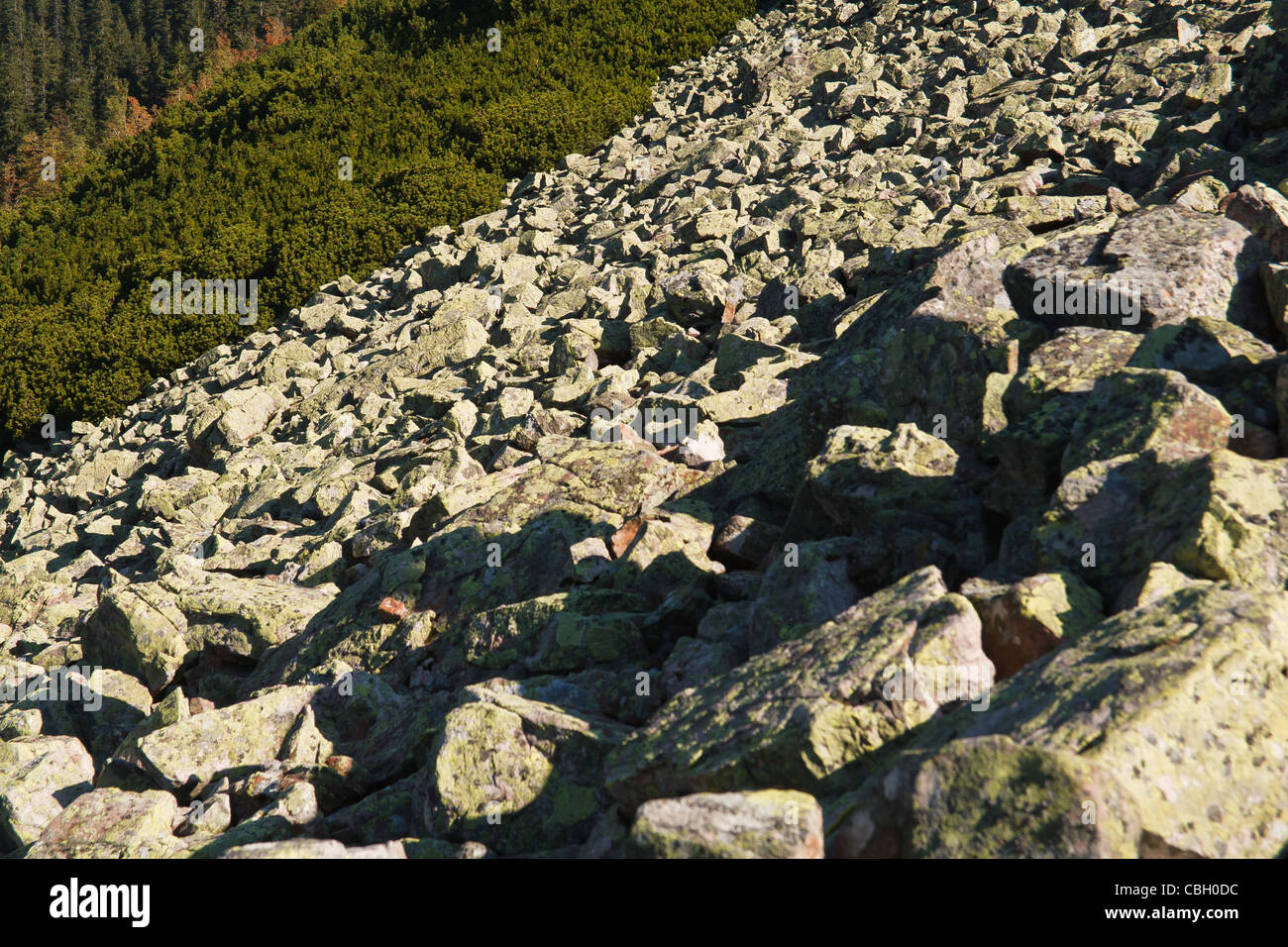 Éboulis de granit dans Parc National des Tatras. La Pologne. Banque D'Images