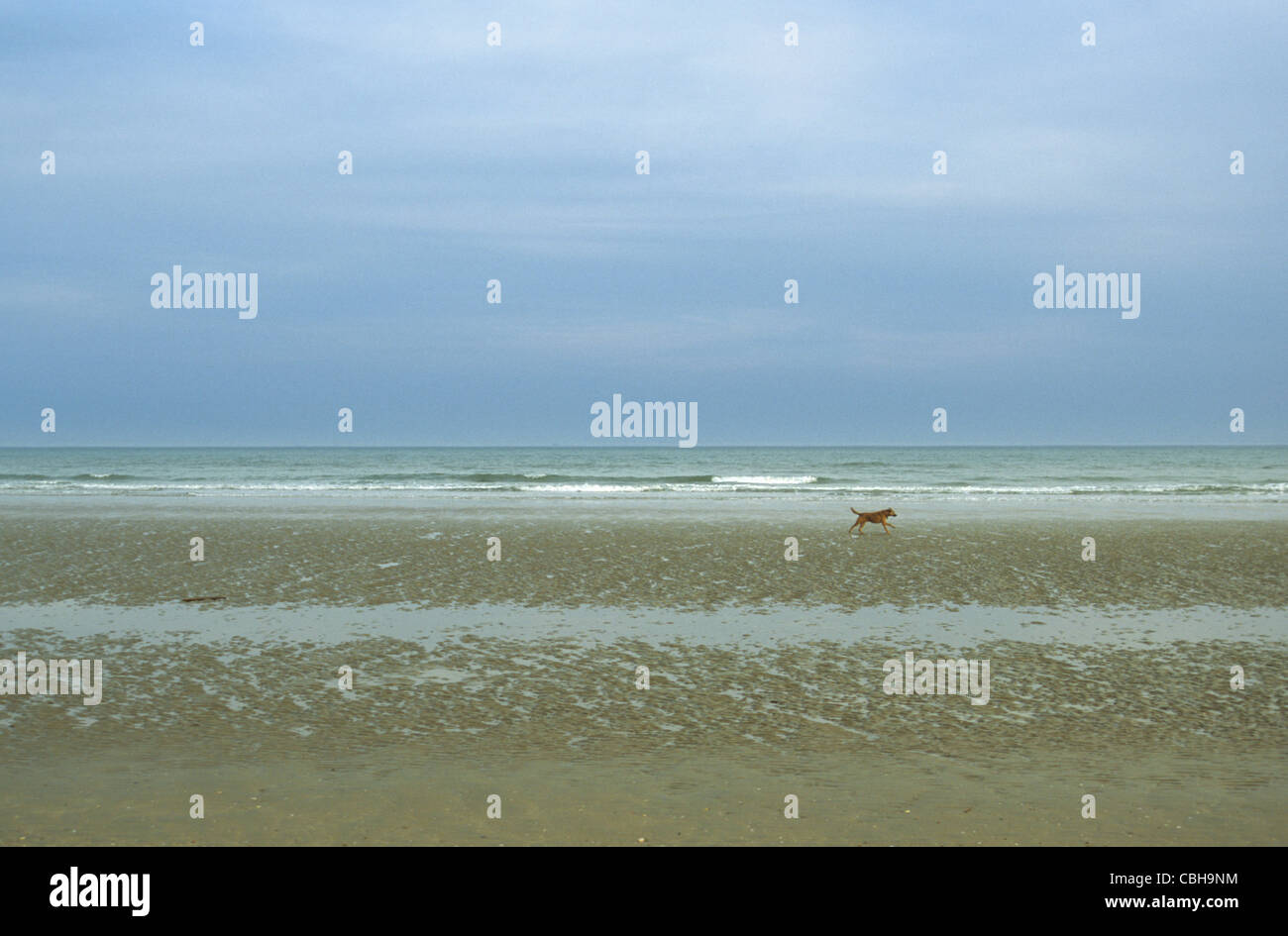 Camber Sands Beach, East Sussex, UK Banque D'Images