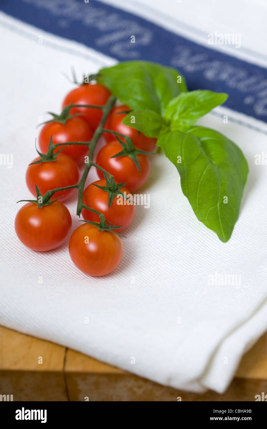 Tomates cerise sur la vigne avec des feuilles de basilic sur un torchon blanc Banque D'Images