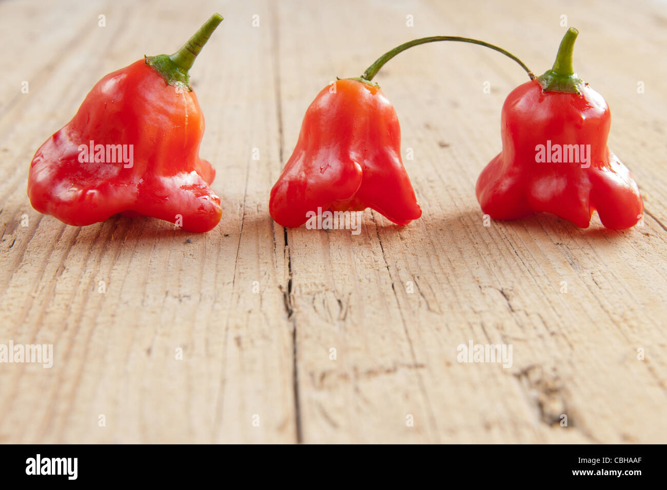 Red Hot Chili Peppers sur un fond de bois rustique Banque D'Images