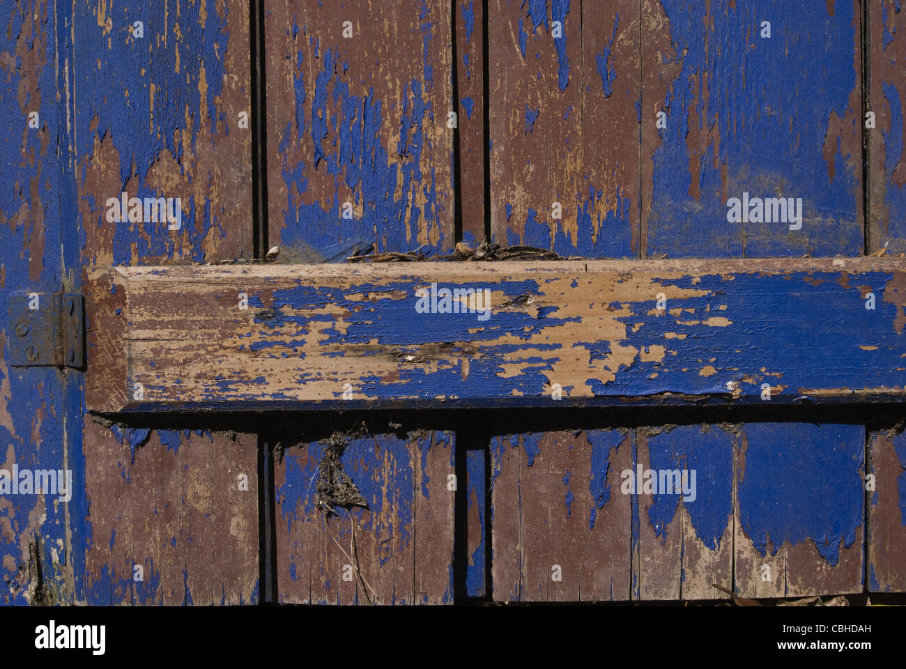 Porte en bois vintage avec le grunge violet peinture. Utile comme arrière-plan pour les travaux de conception. Banque D'Images