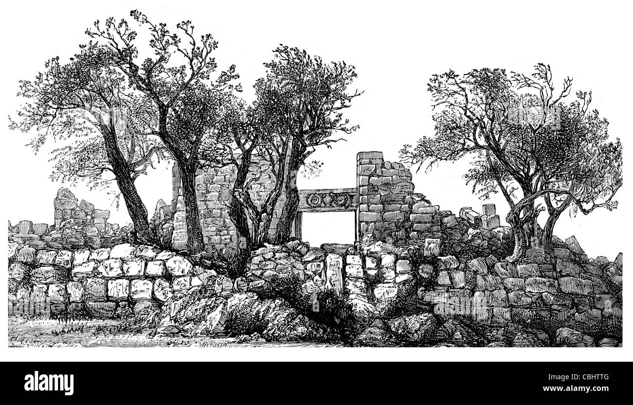 Ruine ruines synagogue en ruine Shiloh ville ancienne Thirtsa Bible Hébraïque Khirbet Seilun Beth El Cisjordanie Israël capitale religieuse Banque D'Images