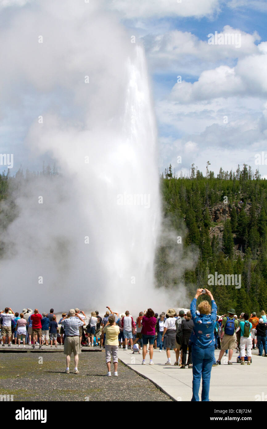 Les touristes se rassemblent pour surveiller le Old Faithful Geyser éruption dans le Parc National de Yellowstone, aux États-Unis. Banque D'Images