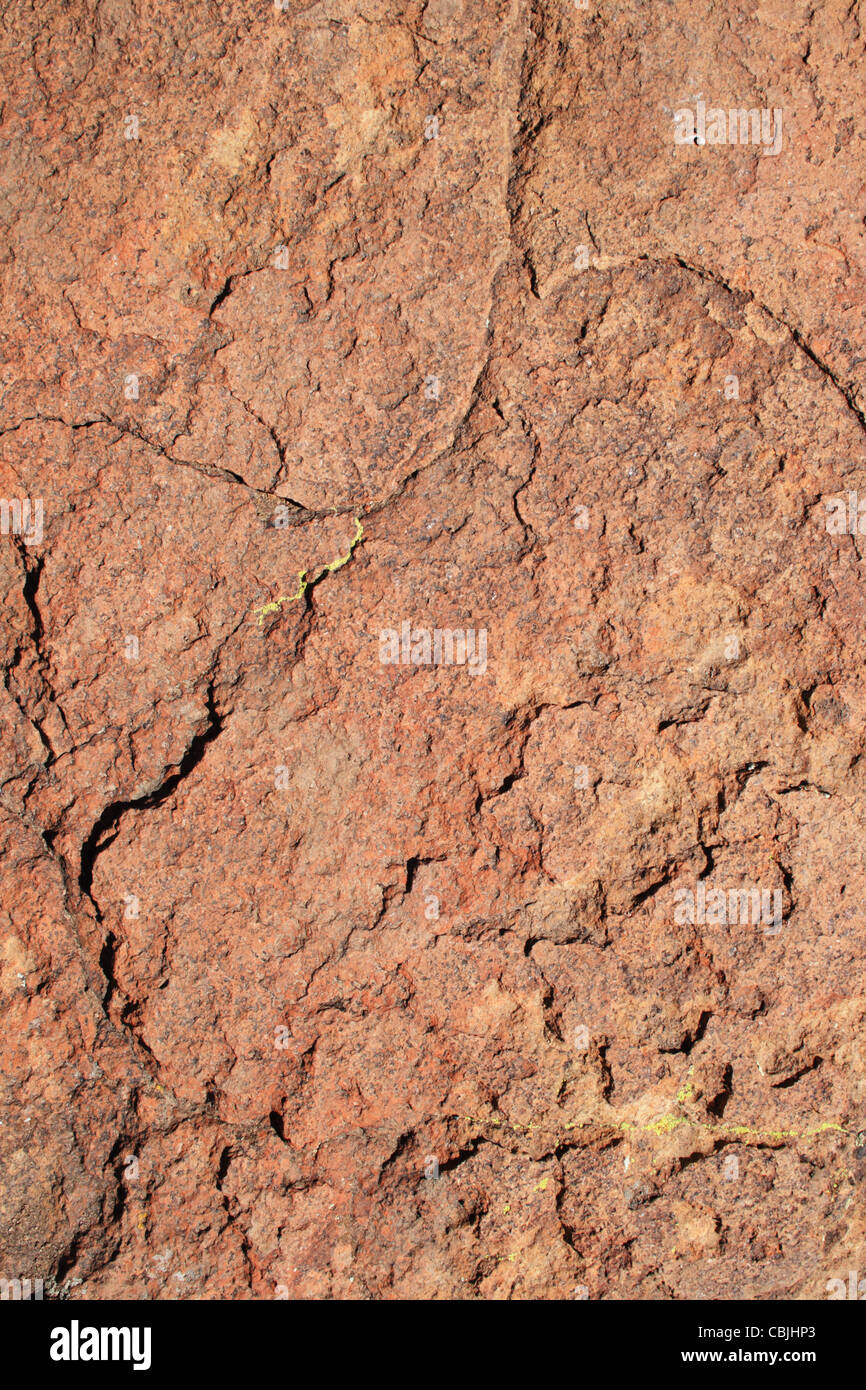 Dacite texturé rock surface avec une couleur rougeâtre et lichen Banque D'Images