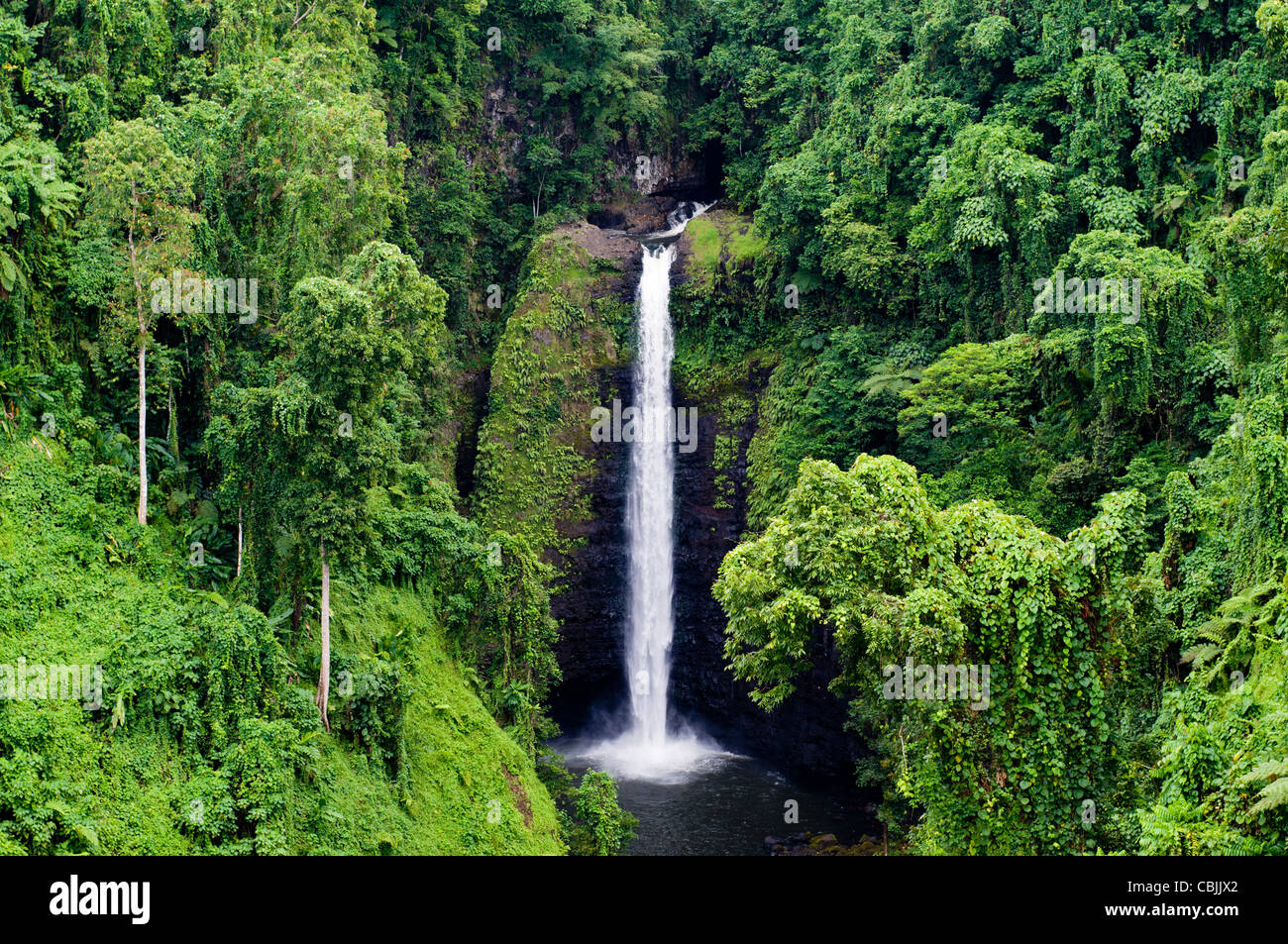 Chute d'eau entourée de végétation luxuriante, le Samoa Banque D'Images