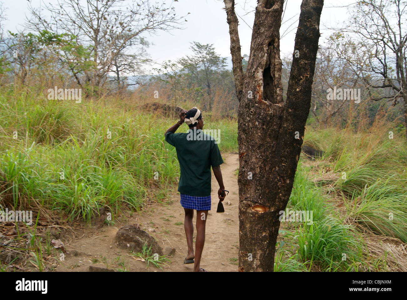 L'homme natif avec un couteau propre pour la protection contre les animaux des forêts à l'intérieur Agastyarkoodam Banque D'Images
