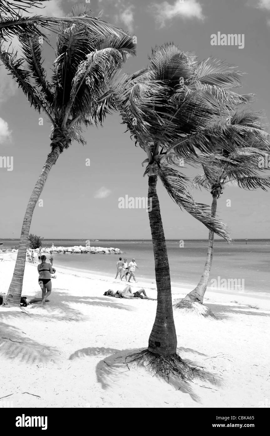 Smathers Beach Key West en Floride Banque D'Images