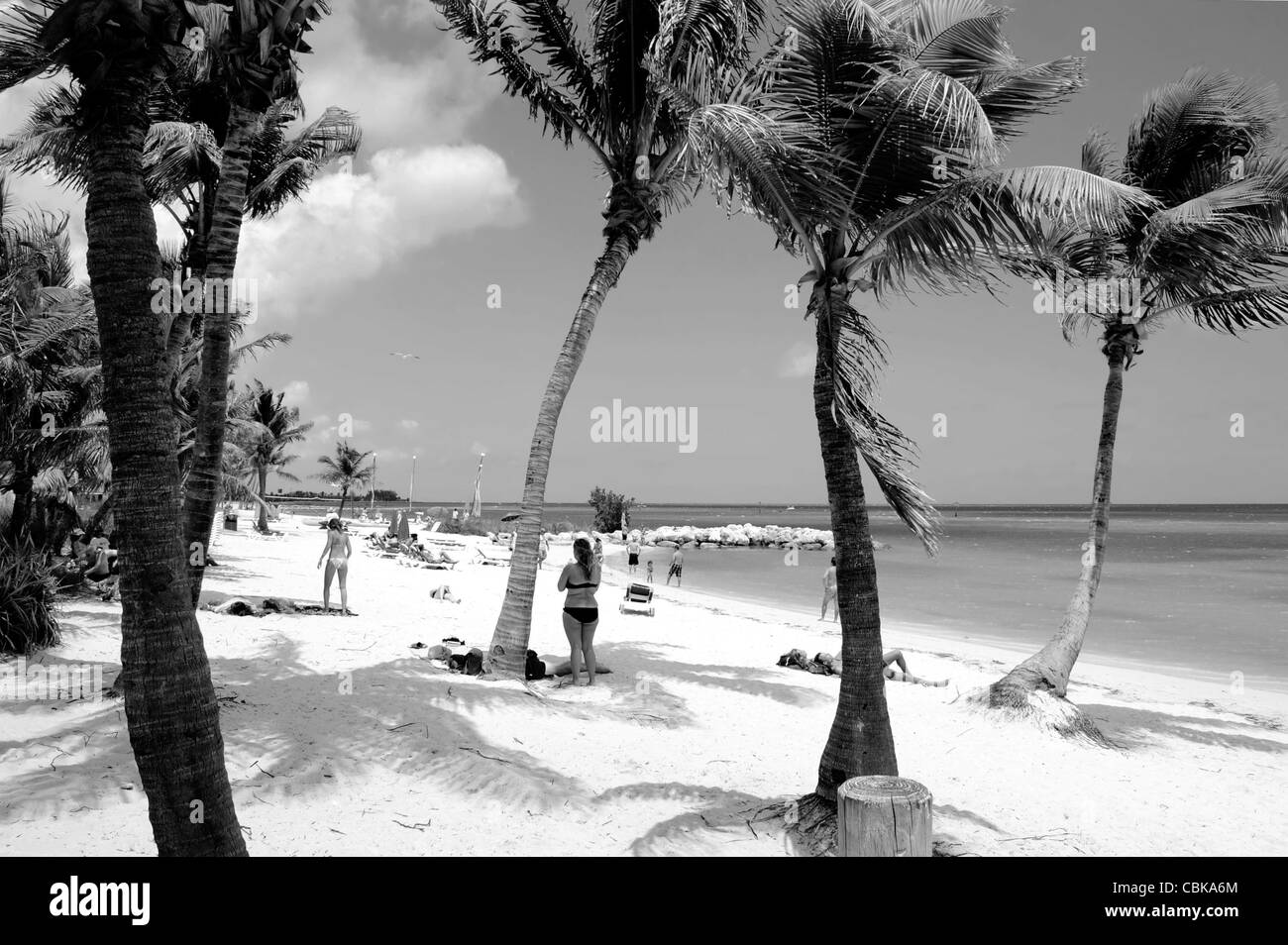 Smathers Beach Key West en Floride Banque D'Images
