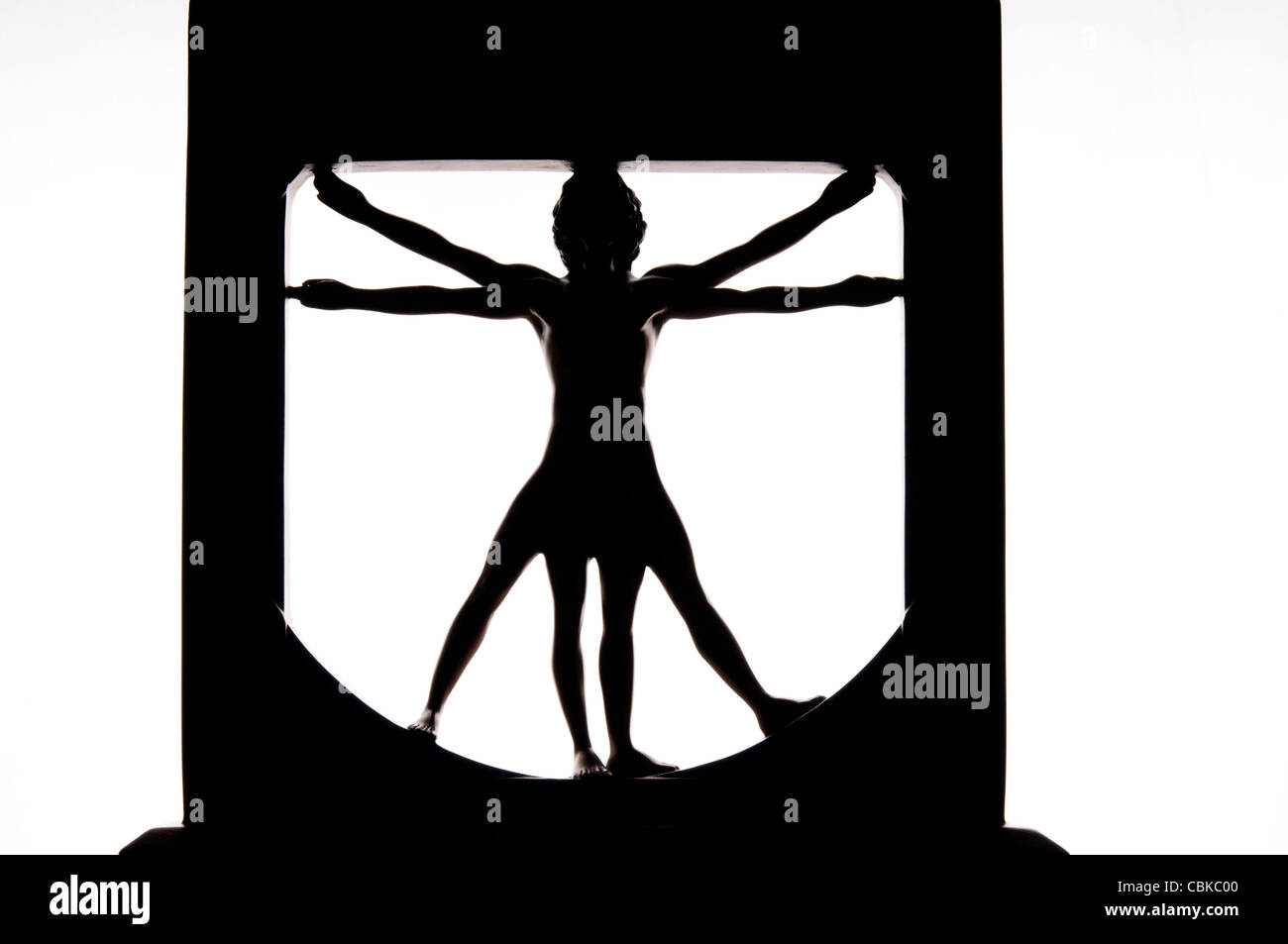 Sculpture l'homme de Vitruve Banque D'Images