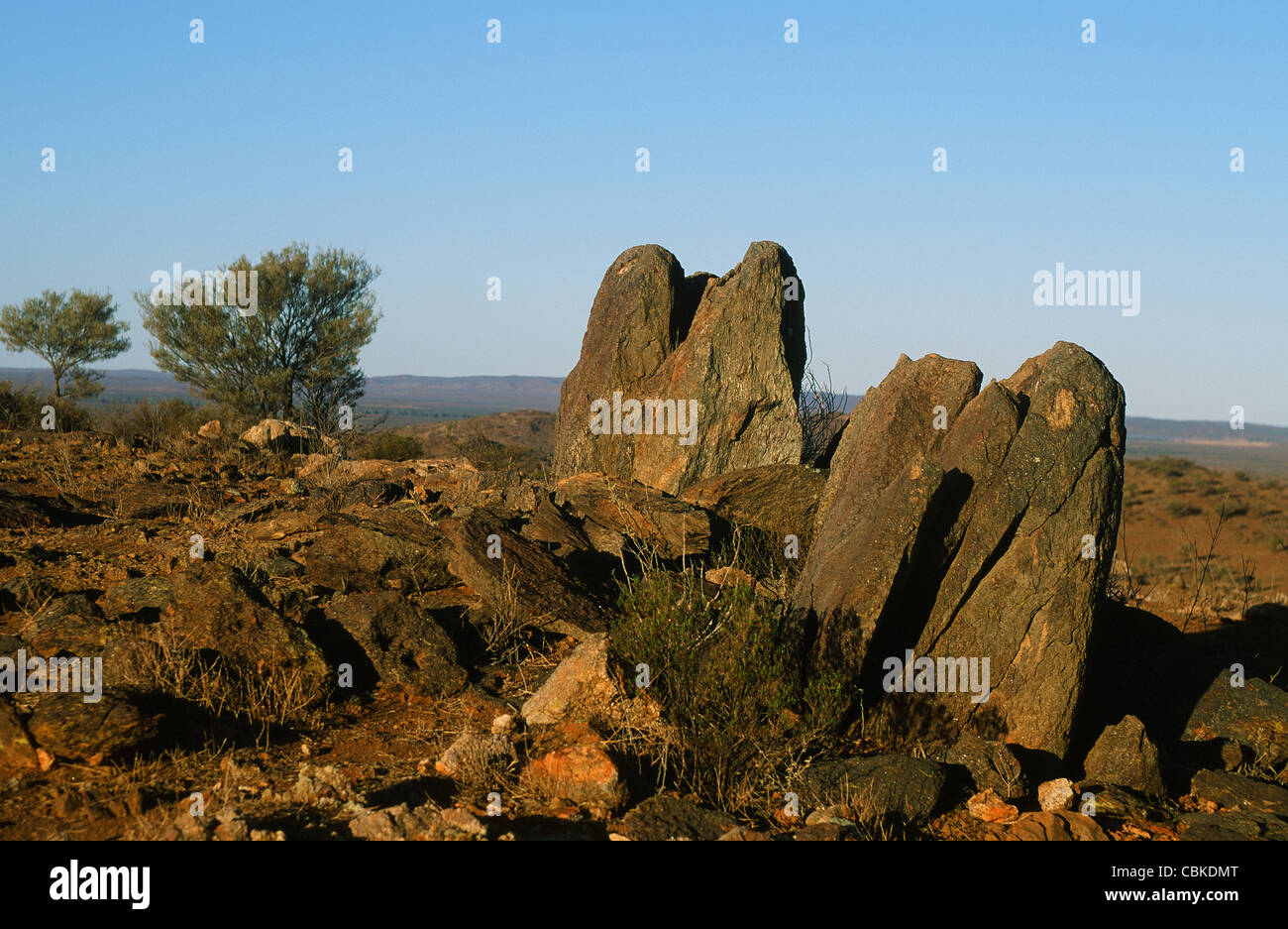 Des pierres sur le désert vivant dans l'outback site sculpture de Broken Hill, la ville d'argent sur ce qui concerne de Nouvelles Galles du Sud, Australie Banque D'Images