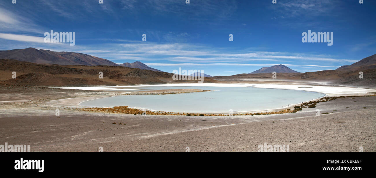 Salt Lake Laguna Honda sur l'Altiplano, Bolivie Banque D'Images