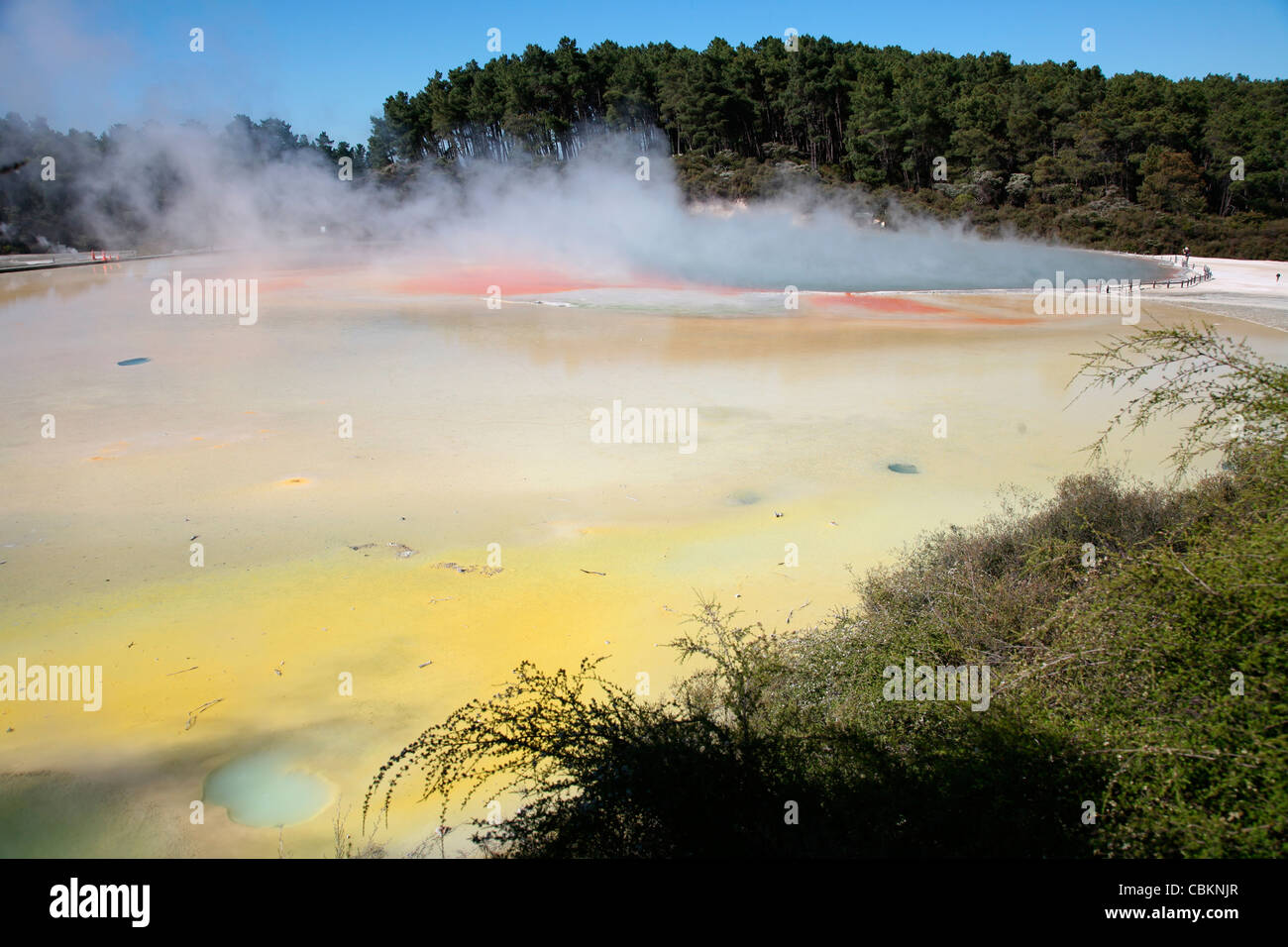 Novembre 2007 - Piscine de Champagne et la palette d'artiste, Wai-O-Tapu, zone géothermique de la zone volcanique de Taupo, Nouvelle-Zélande. Banque D'Images