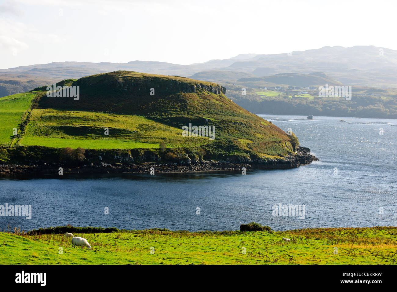 A863,Portnalong,Loch,des fouilleurs clandestins, utilisant la navigation intérieure plus grande sur la côte de Skye, poissons et les moules,Ile de Skye,Scottish Highlands, Ecosse Banque D'Images