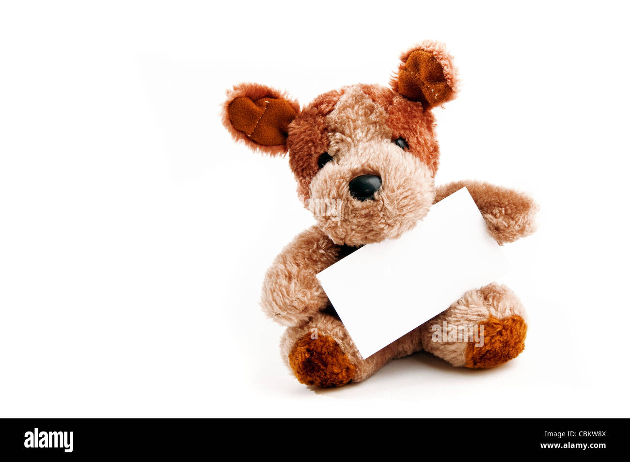 Mignon petit ours tenant une carte d'affaires sur un fond blanc Banque D'Images