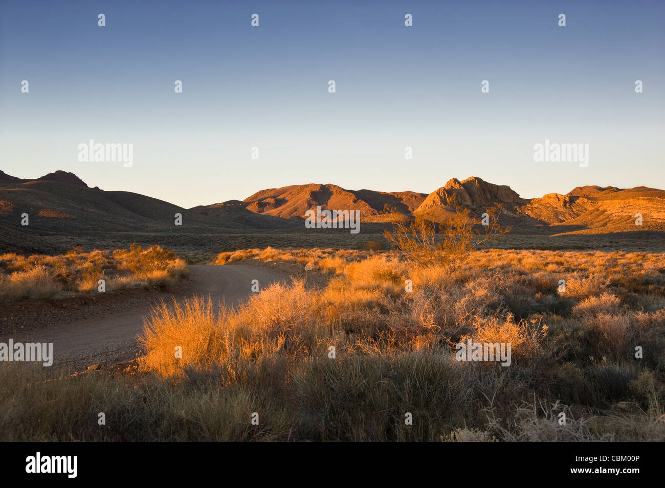 Chemin de terre, désert du Nevada Banque D'Images