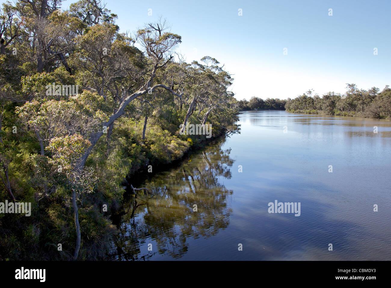 Le Blackwood River, près de Karridale, ouest de l'Australie. Banque D'Images