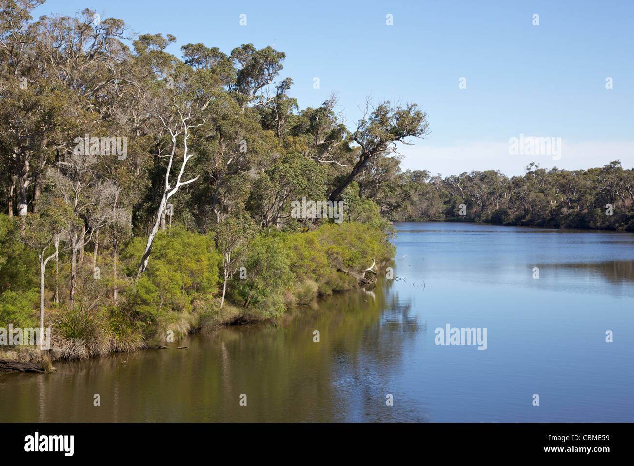 Le Blackwood River, près de Karridale, ouest de l'Australie. Banque D'Images