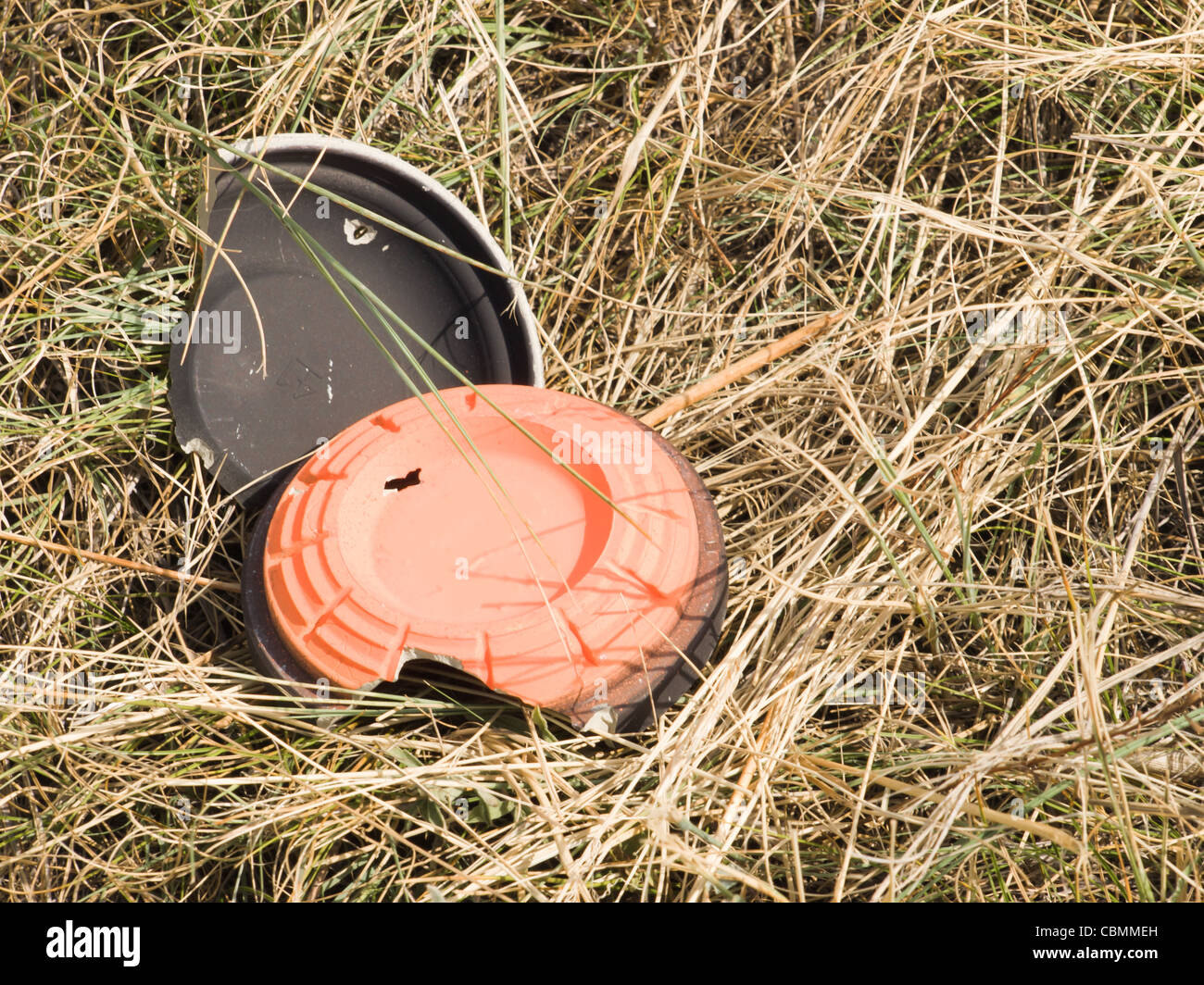 Clay pigeons dans l'herbe. Banque D'Images