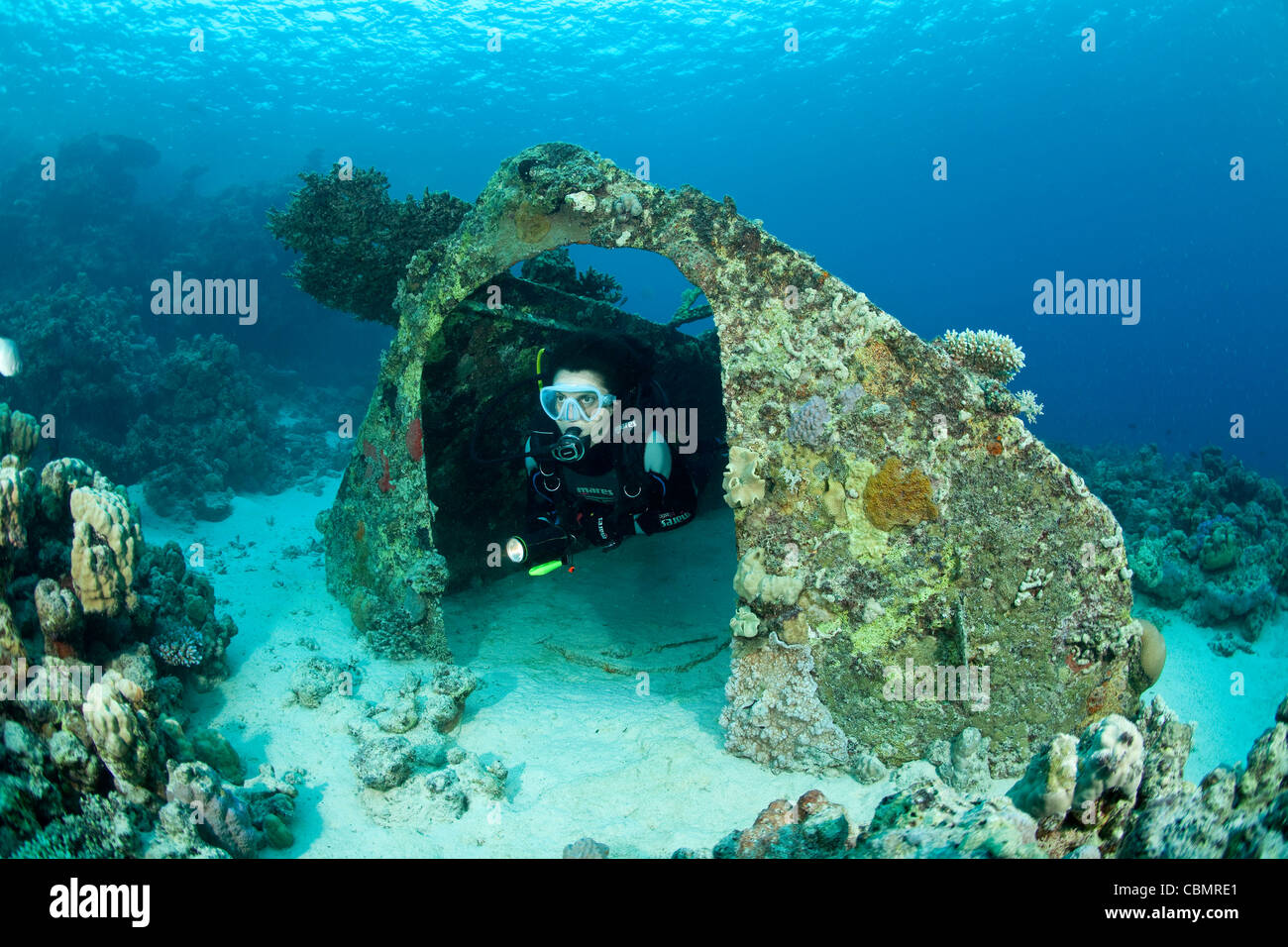 Scuba Diver au Hangar à habitat subaquatique Precontinent II de Jacques-Yves Cousteau, Shaab Rumi, Mer Rouge, au Soudan Banque D'Images