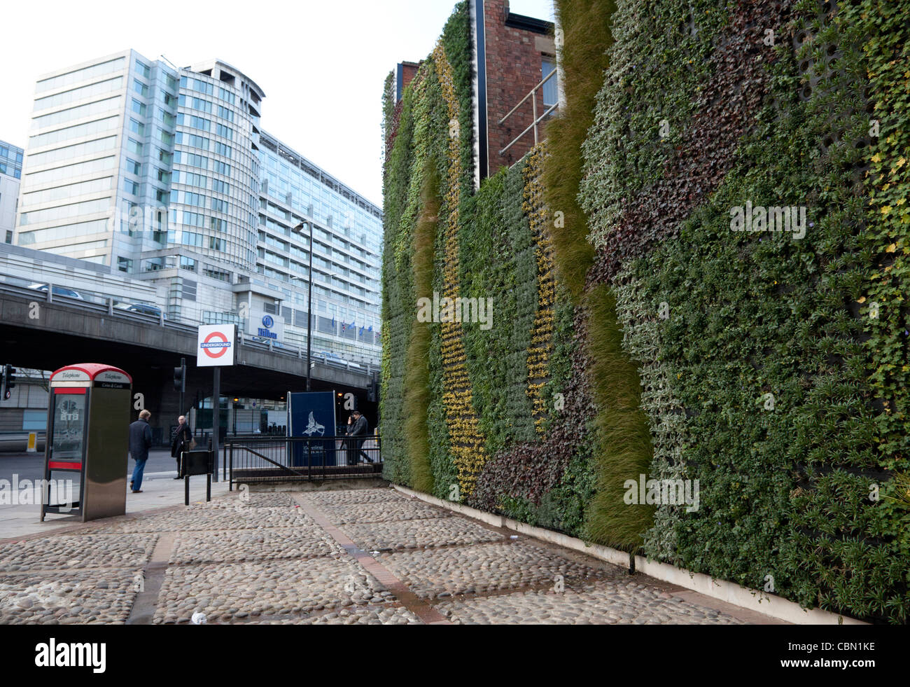 Jardin Vertical dans Edgware Road, le centre de Londres d'absorber la pollution du trafic Banque D'Images